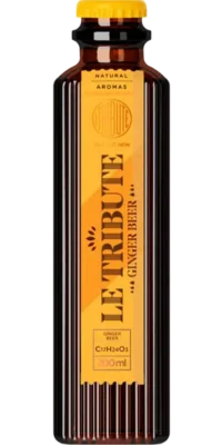 Água Tónica Ginger Beer Tribute 0,20cl Tara Perdida (24 Unidades)